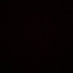 Meet your Posher, Shayla